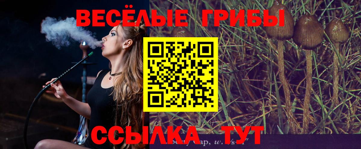 Галлюциногенные грибы Magic Shrooms Черногорск
