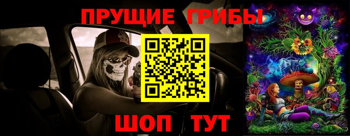 Черногорск  Псилоцибиновые грибы Psilocybine cubensis  Вход с VPN 